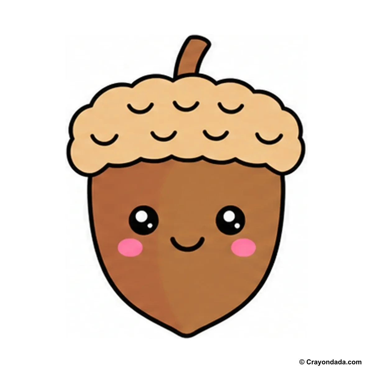 How to Draw an Acorn finished drawing