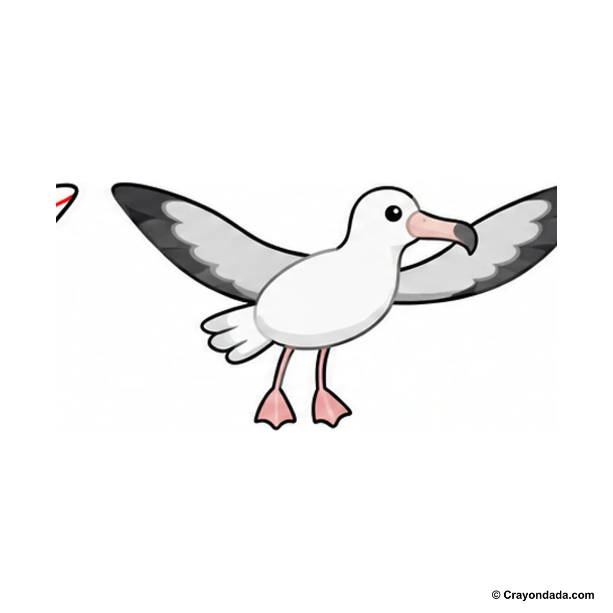 How to Draw an Albatross finished drawing