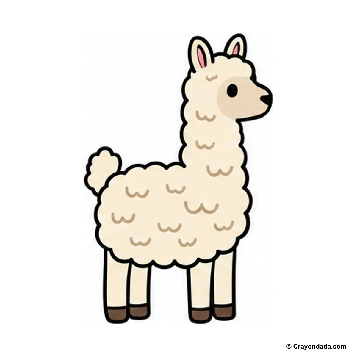How to Draw an Alpaca finished drawing