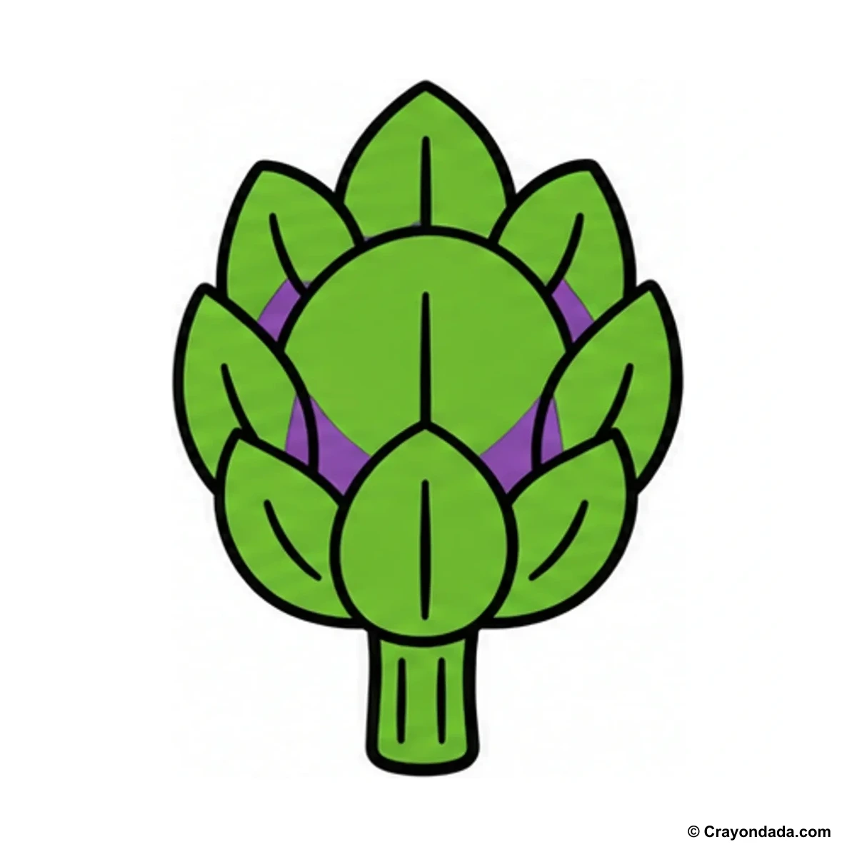 How to Draw an Artichoke finished drawing