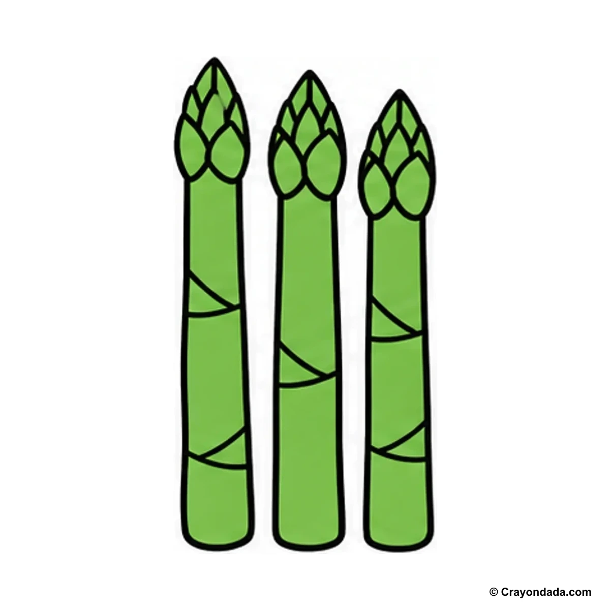 How to Draw Asparagus finished drawing