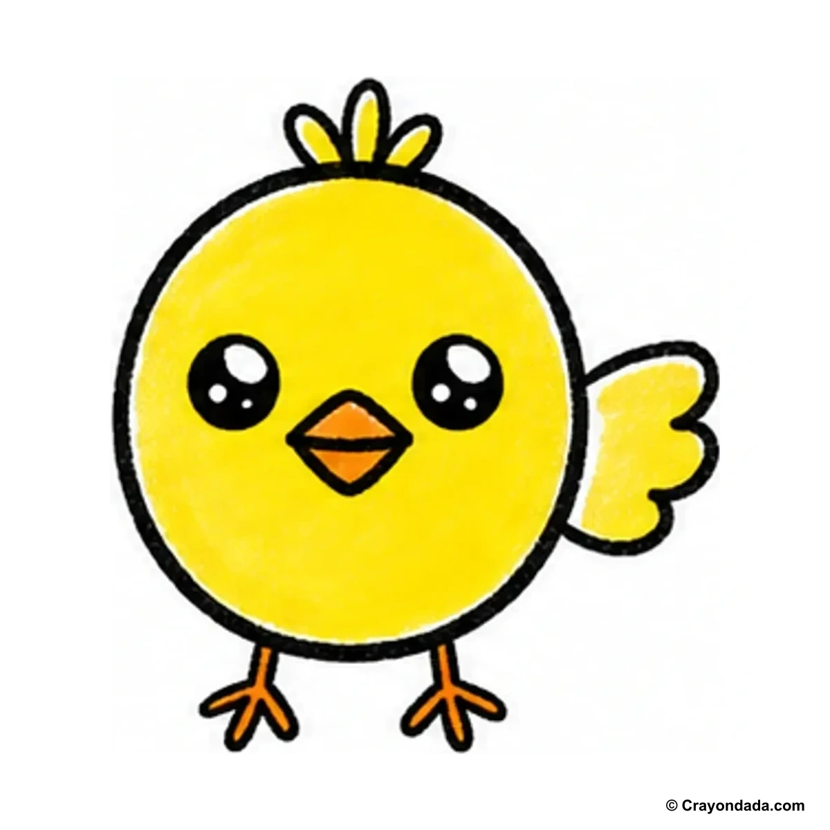 How to Draw a Baby Chick finished drawing