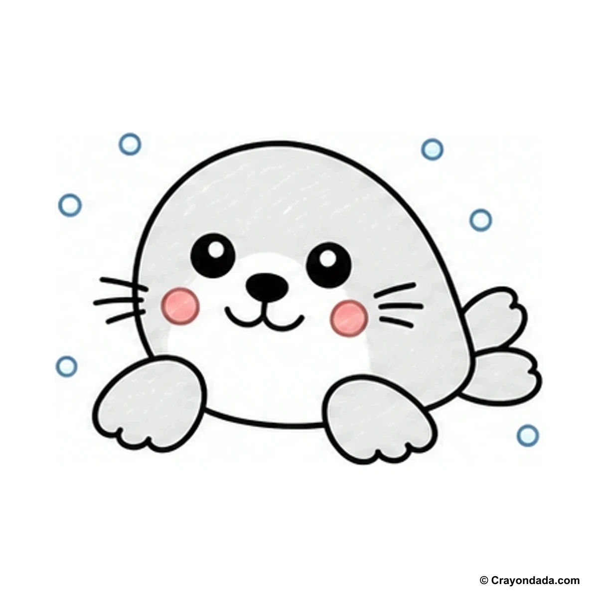 How to Draw a Baby Seal finished drawing
