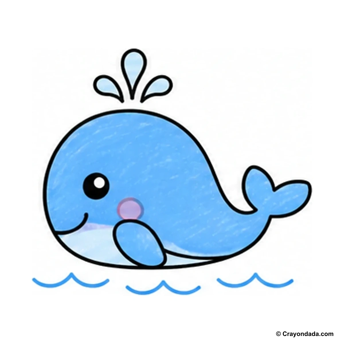 How to Draw a Baby Whale finished drawing