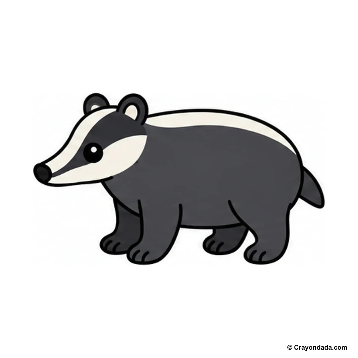 How to Draw a Badger finished drawing