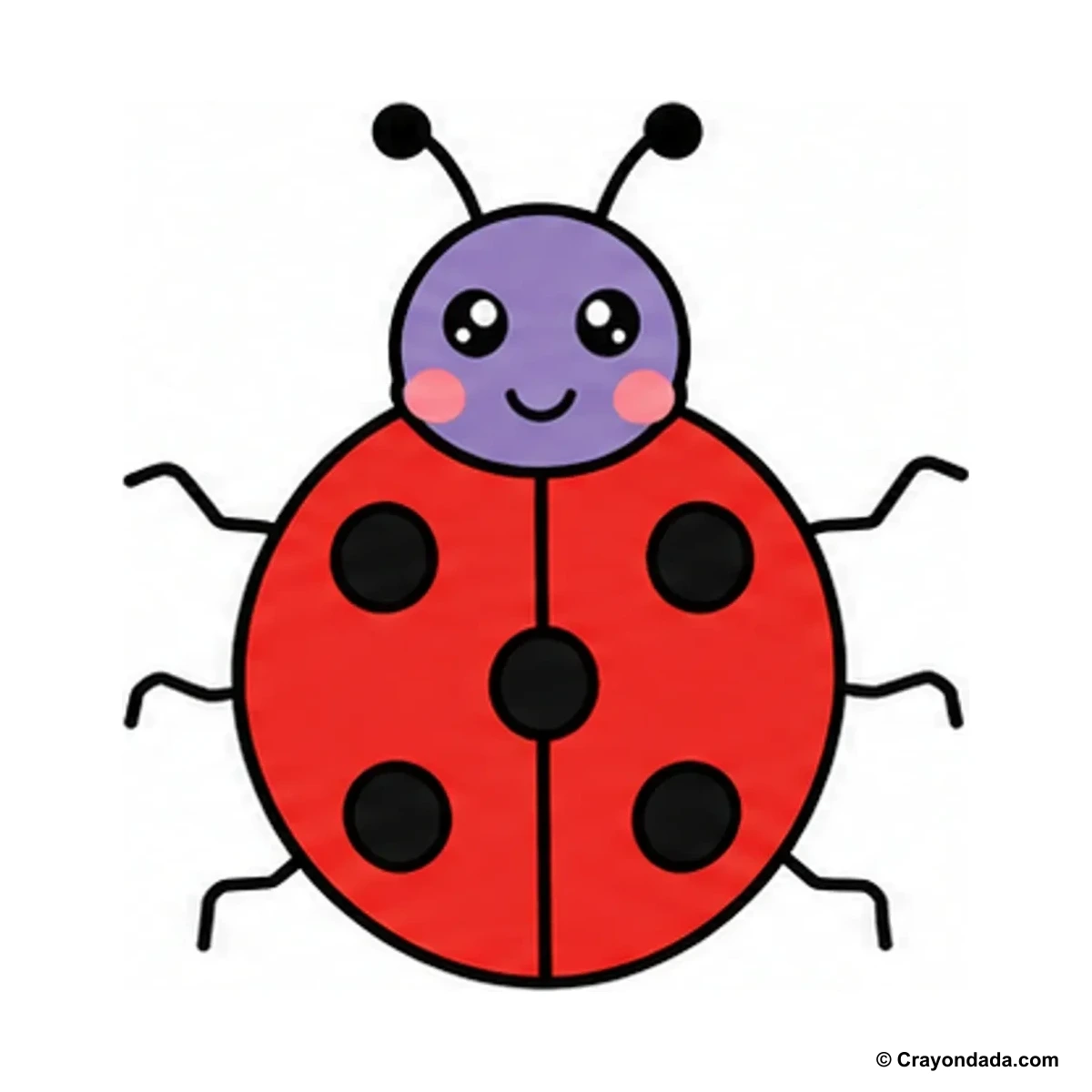 How to Draw a Beetle finished drawing