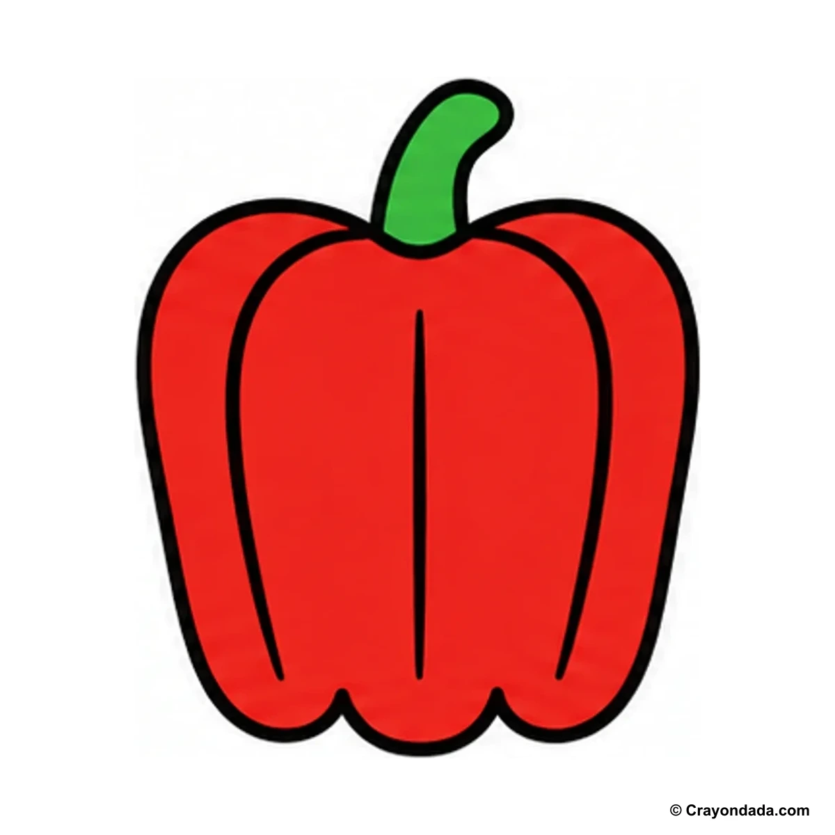 How to Draw a Bell Pepper finished drawing