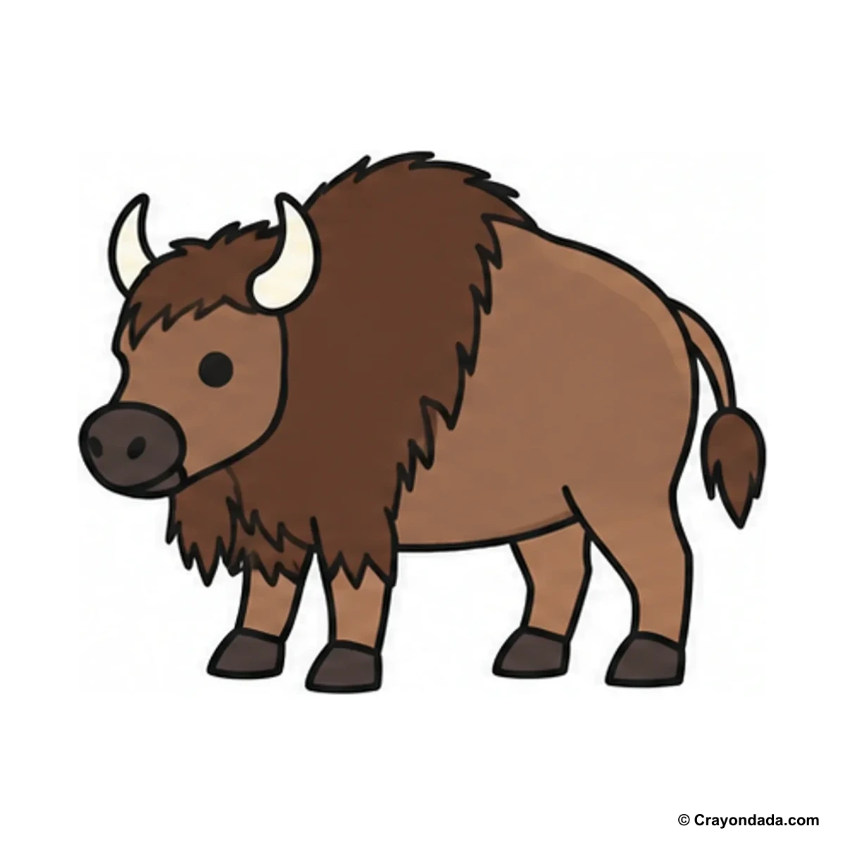 How to Draw a Bison finished drawing
