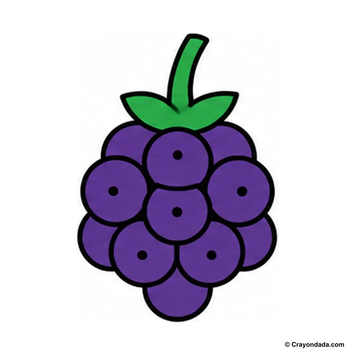 How to Draw a Blackberry finished drawing
