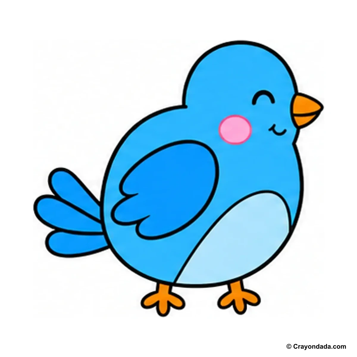 How to Draw a Blue Bird finished drawing