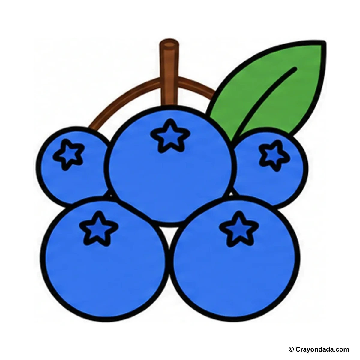 How to Draw a Blueberry Cluster finished drawing