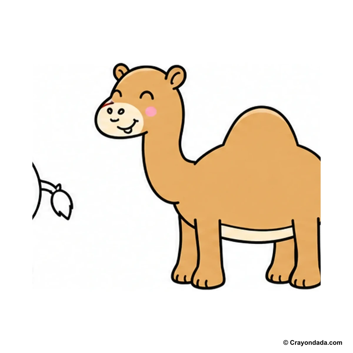 How to Draw a Camel finished drawing