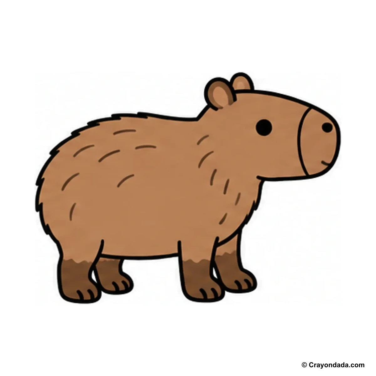 How to Draw a Capybara finished drawing