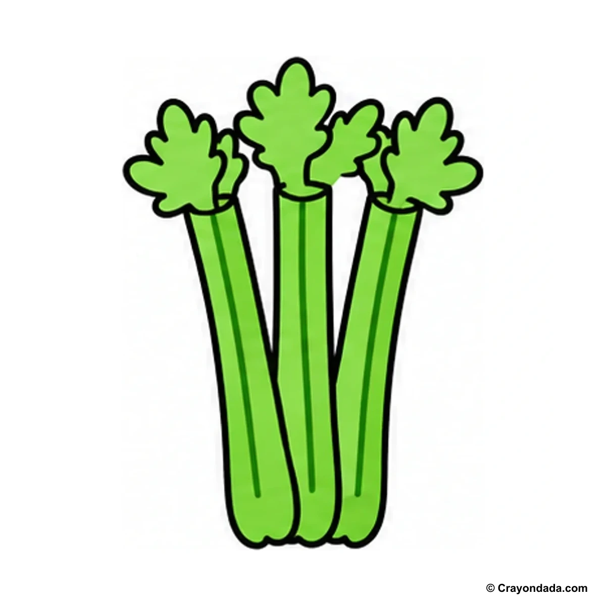 How to Draw Celery finished drawing