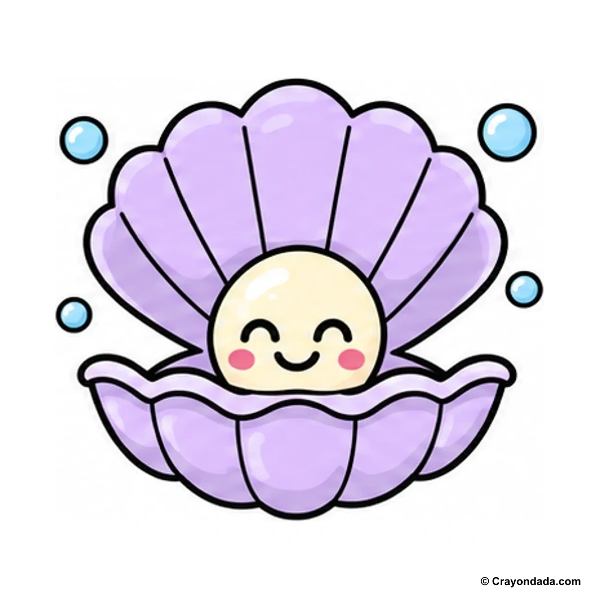How to Draw a Clam Shell finished drawing