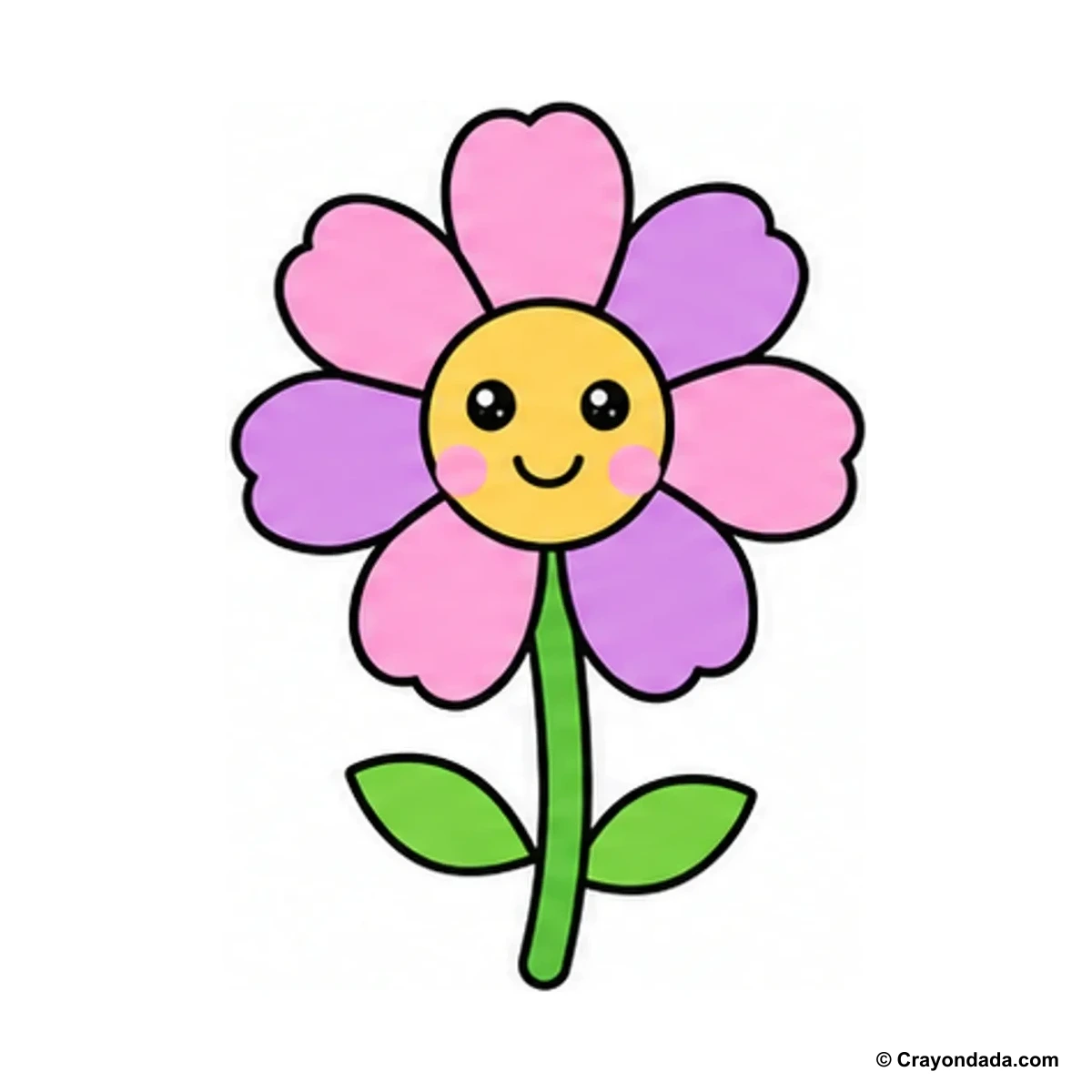 How to Draw a Cosmos Flower finished drawing