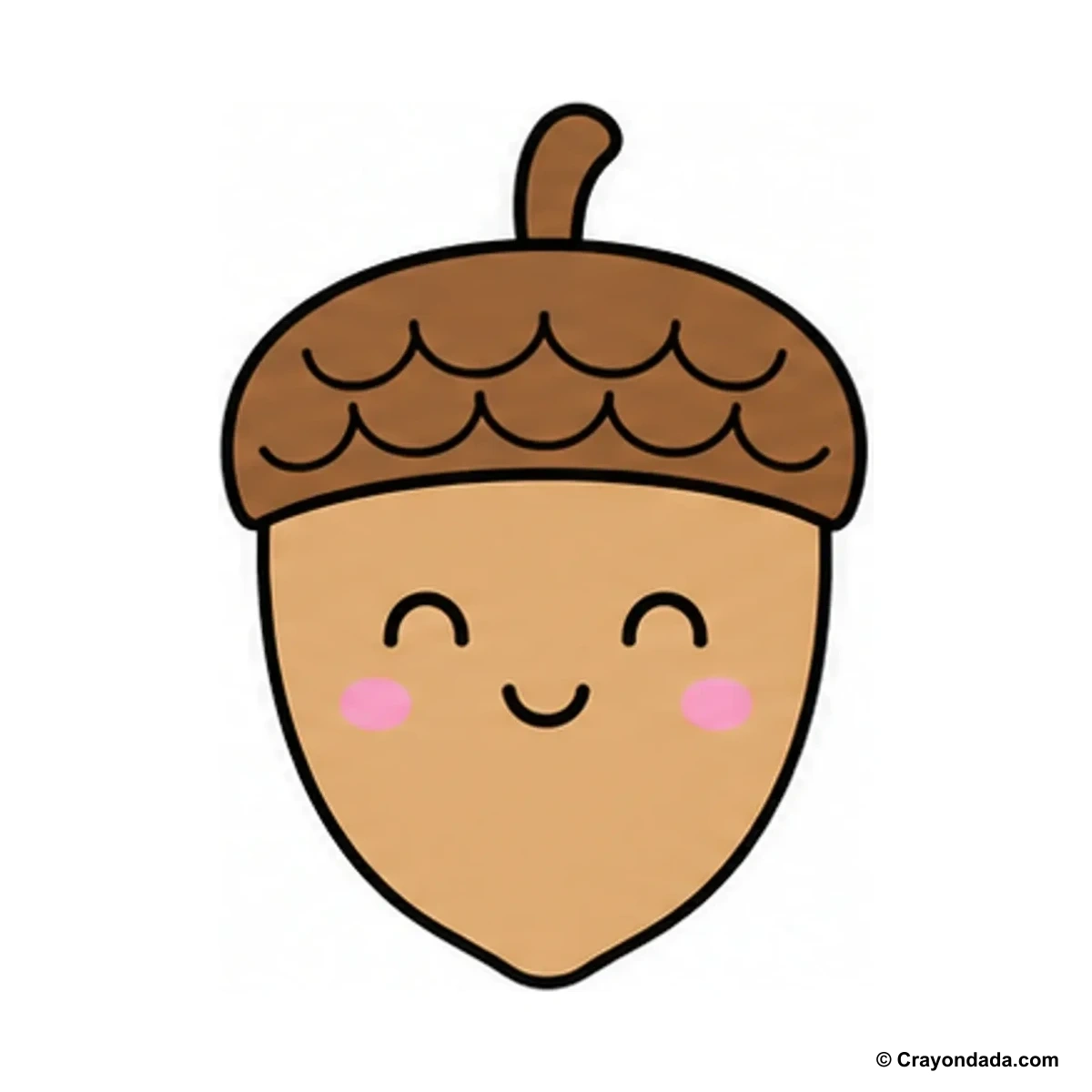 How to Draw a Cute Acorn finished drawing