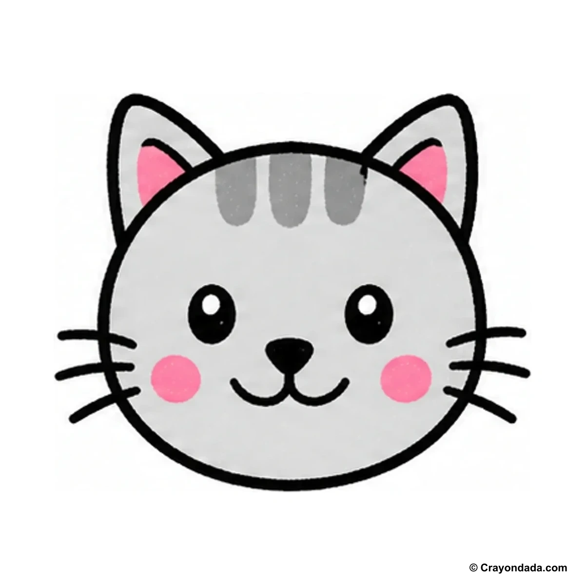 How to Draw a Cute Cat Face finished drawing