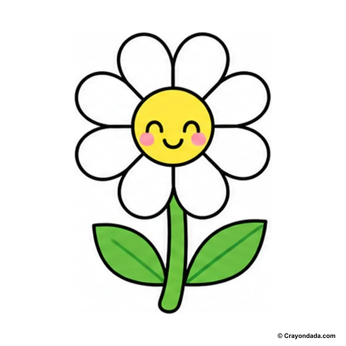 How to Draw a Cute Daisy finished drawing