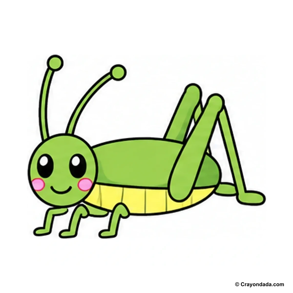 How to Draw a Cute Grasshopper finished drawing