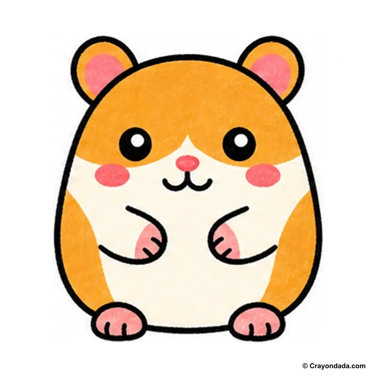 How to Draw a Cute Hamster finished drawing