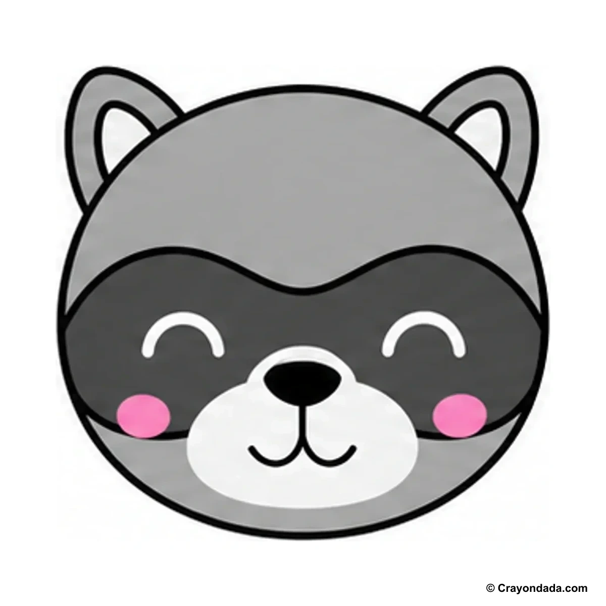 How to Draw a Cute Raccoon Face finished drawing