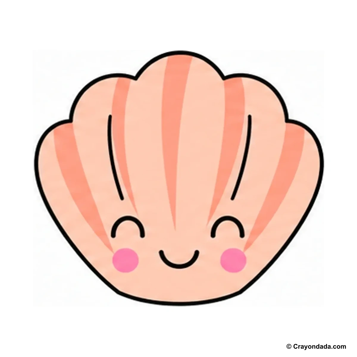 How to Draw a Cute Seashell finished drawing