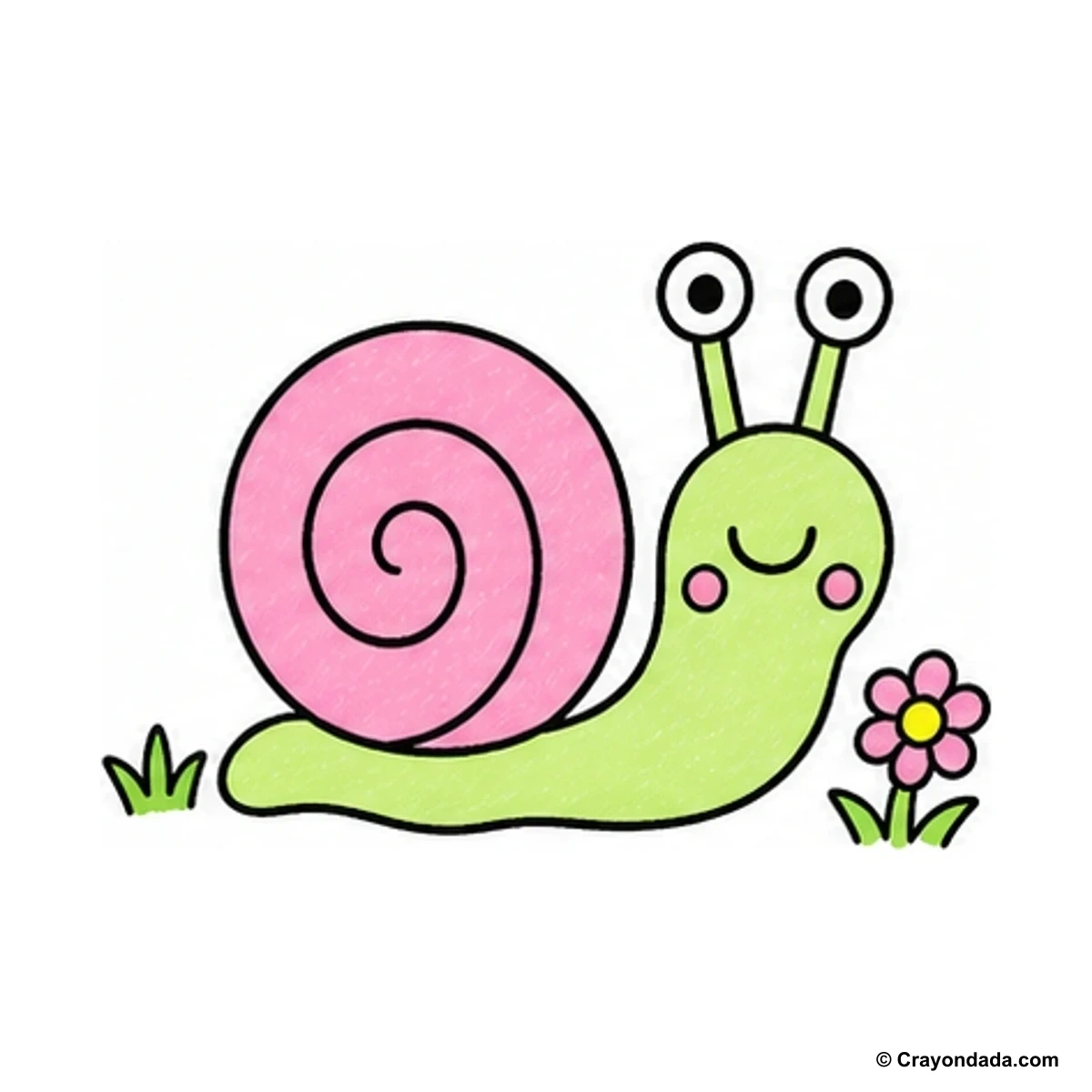 How to Draw a Cute Snail finished drawing
