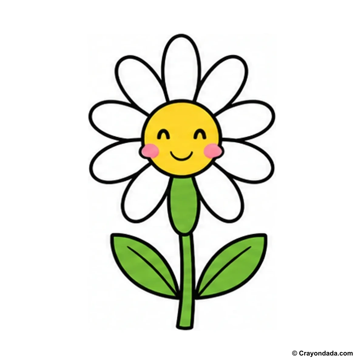 How to Draw a Daisy finished drawing