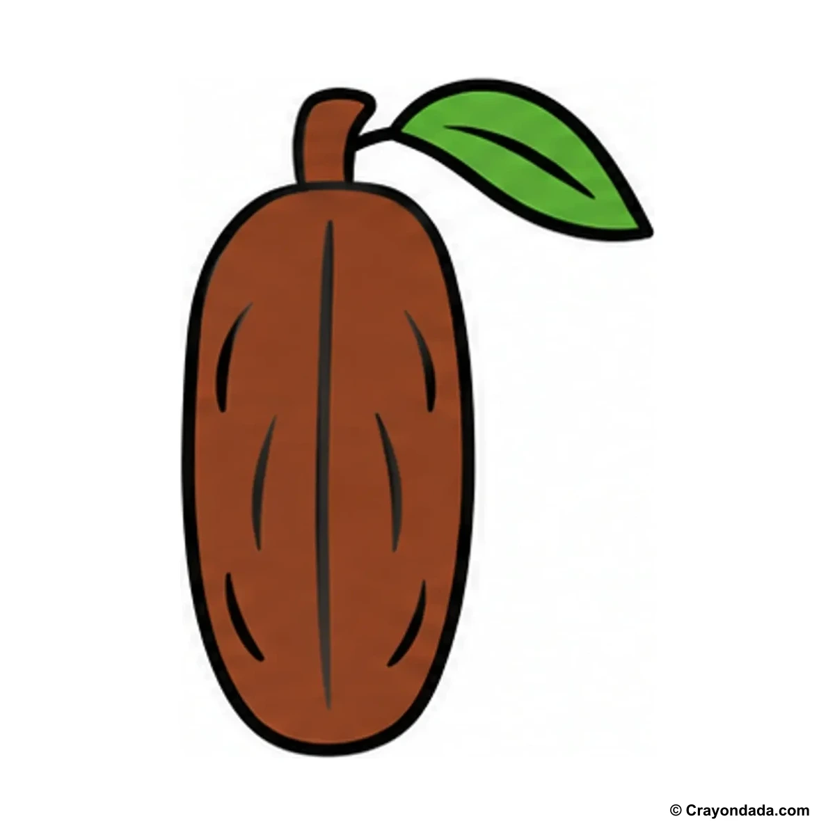 How to Draw a Date Fruit finished drawing