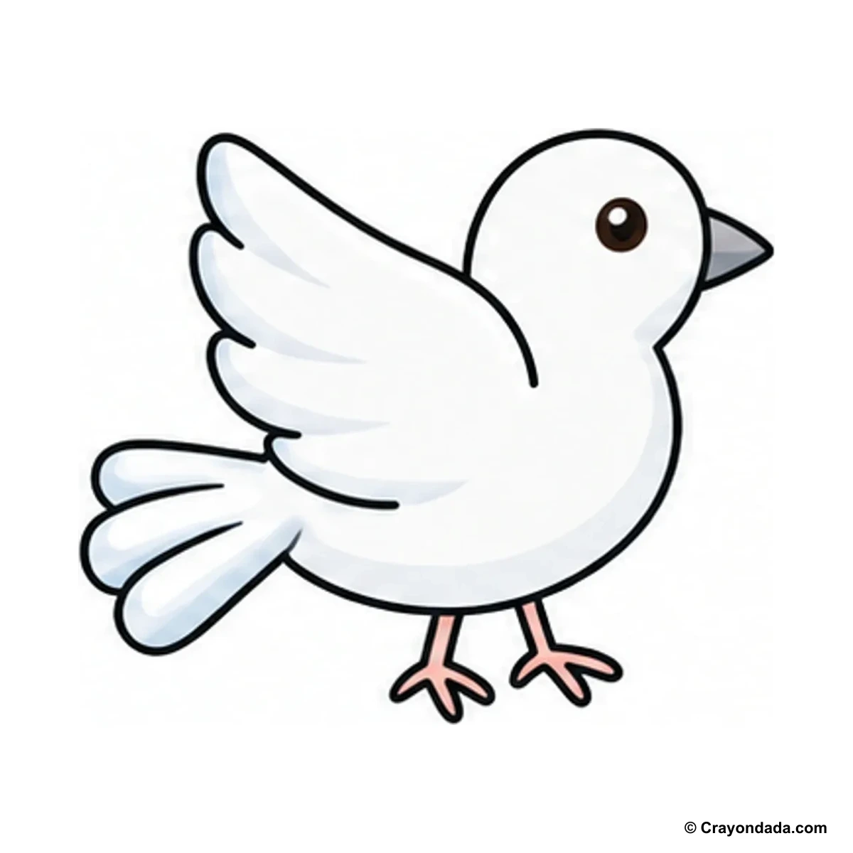 How to Draw a Dove finished drawing