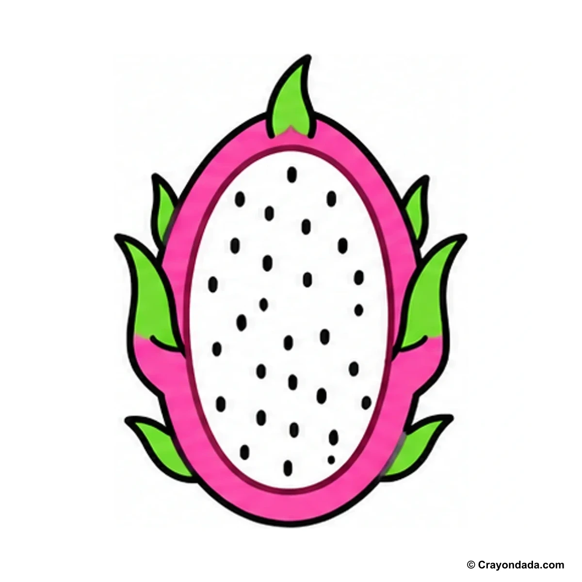 How to Draw a Dragon Fruit finished drawing