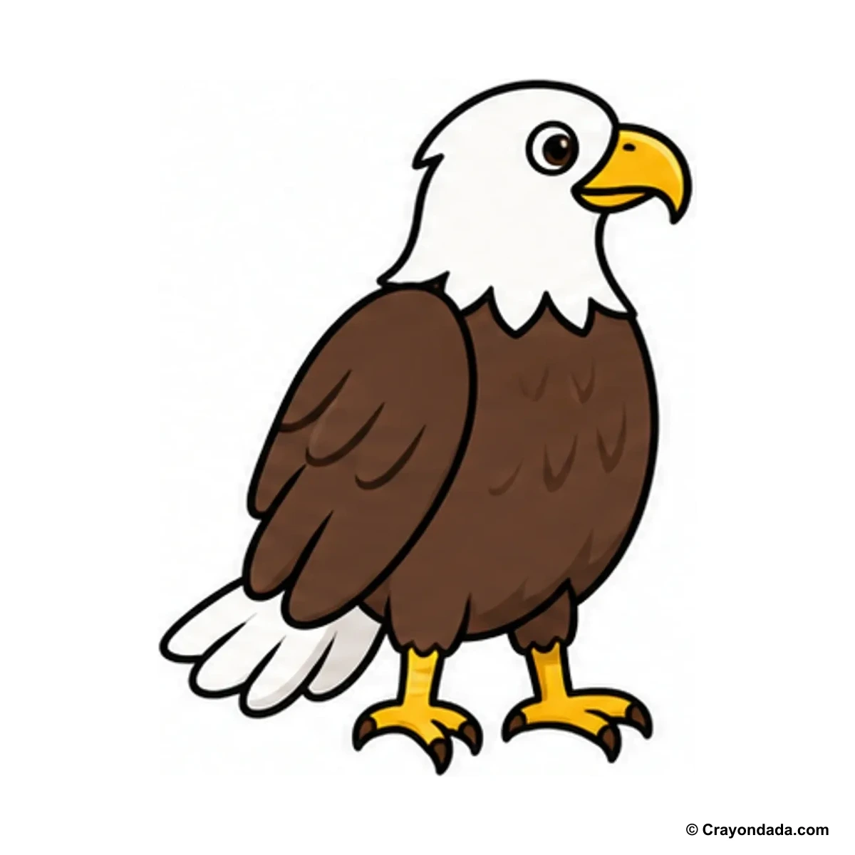 How to Draw an Eagle finished drawing