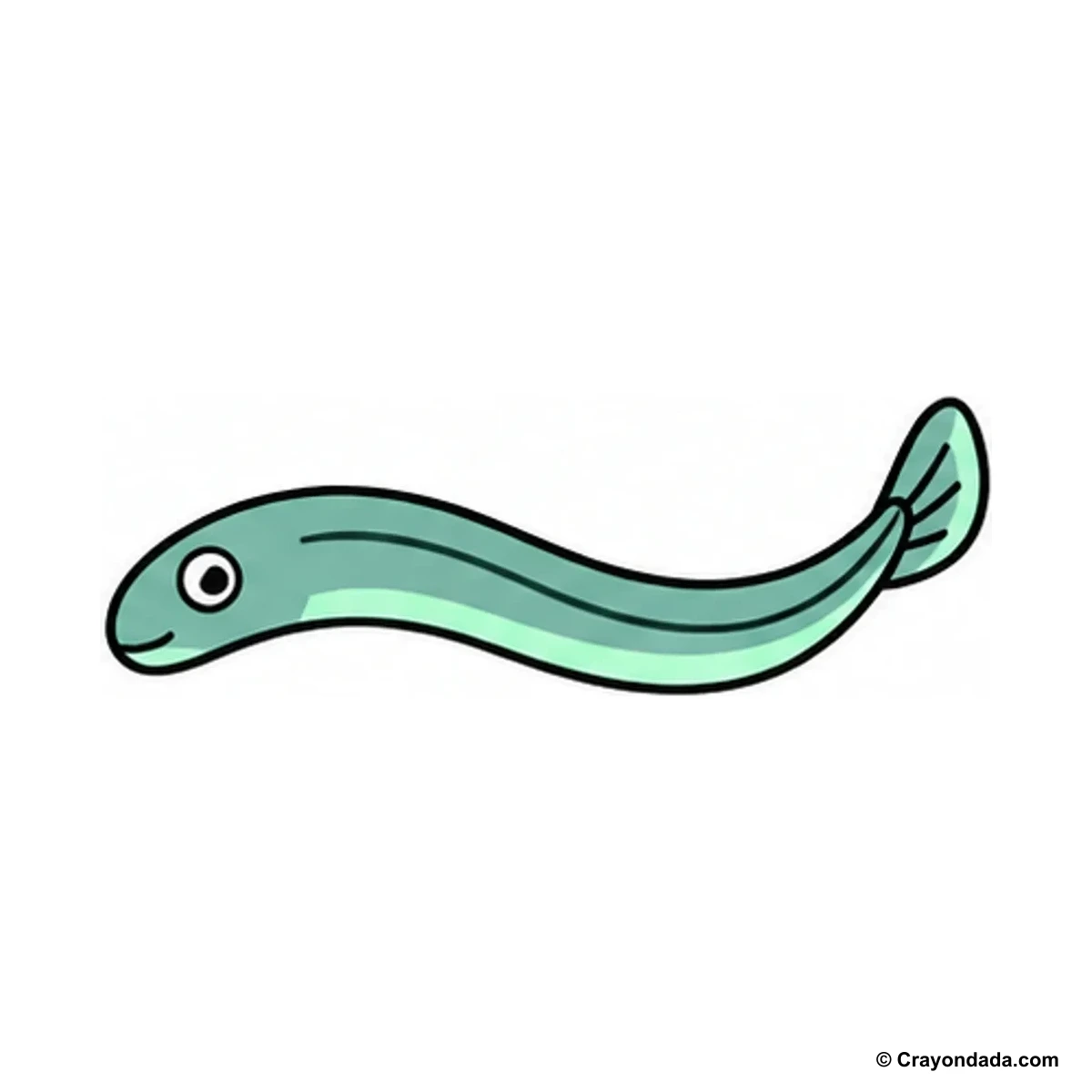 How to Draw an Eel finished drawing