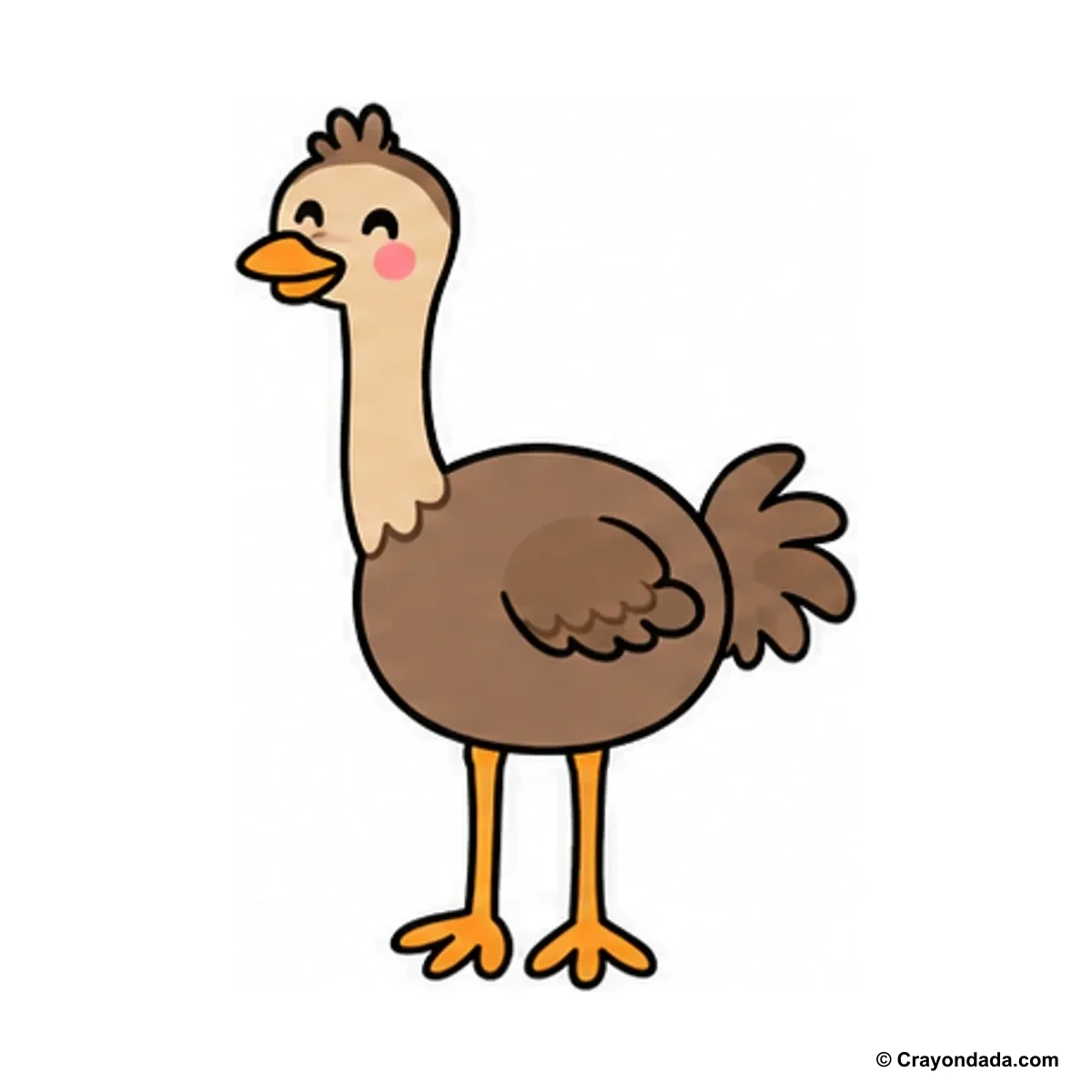 How to Draw an Emu finished drawing
