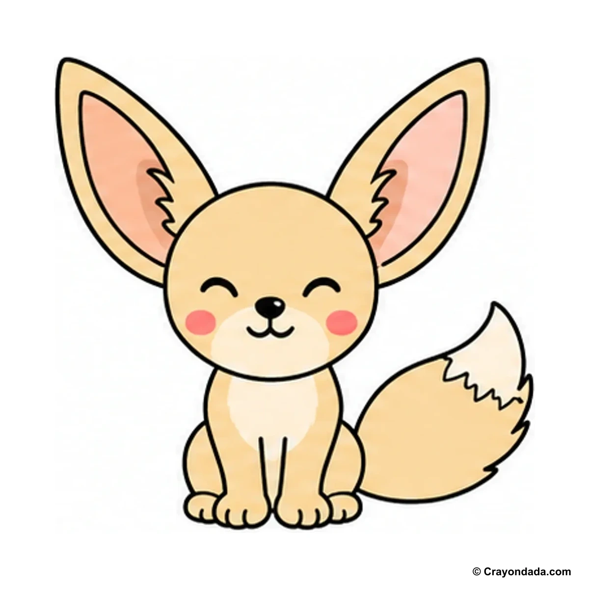 How to Draw a Fennec Fox finished drawing