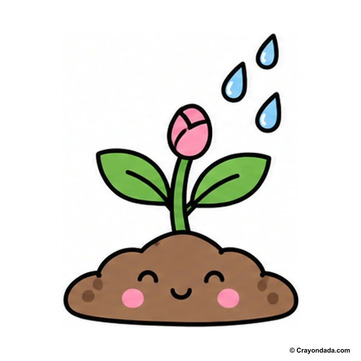 How to Draw a Flower Watering Sprout finished drawing