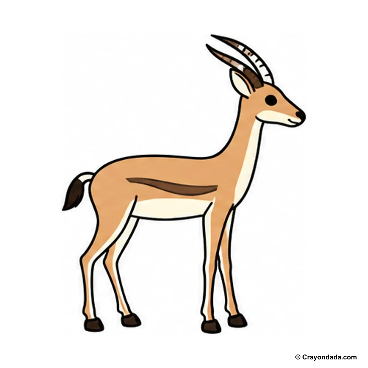 How to Draw a Gazelle finished drawing