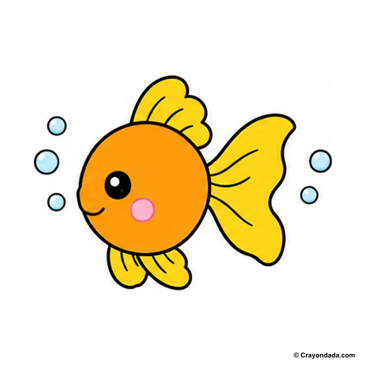 How to Draw a Goldfish finished drawing