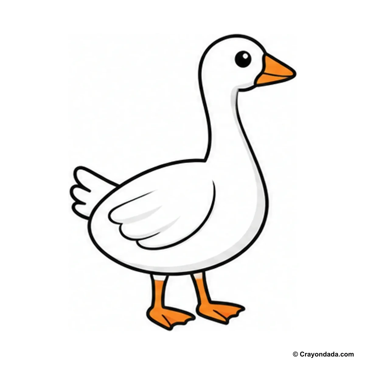 How to Draw a Goose finished drawing