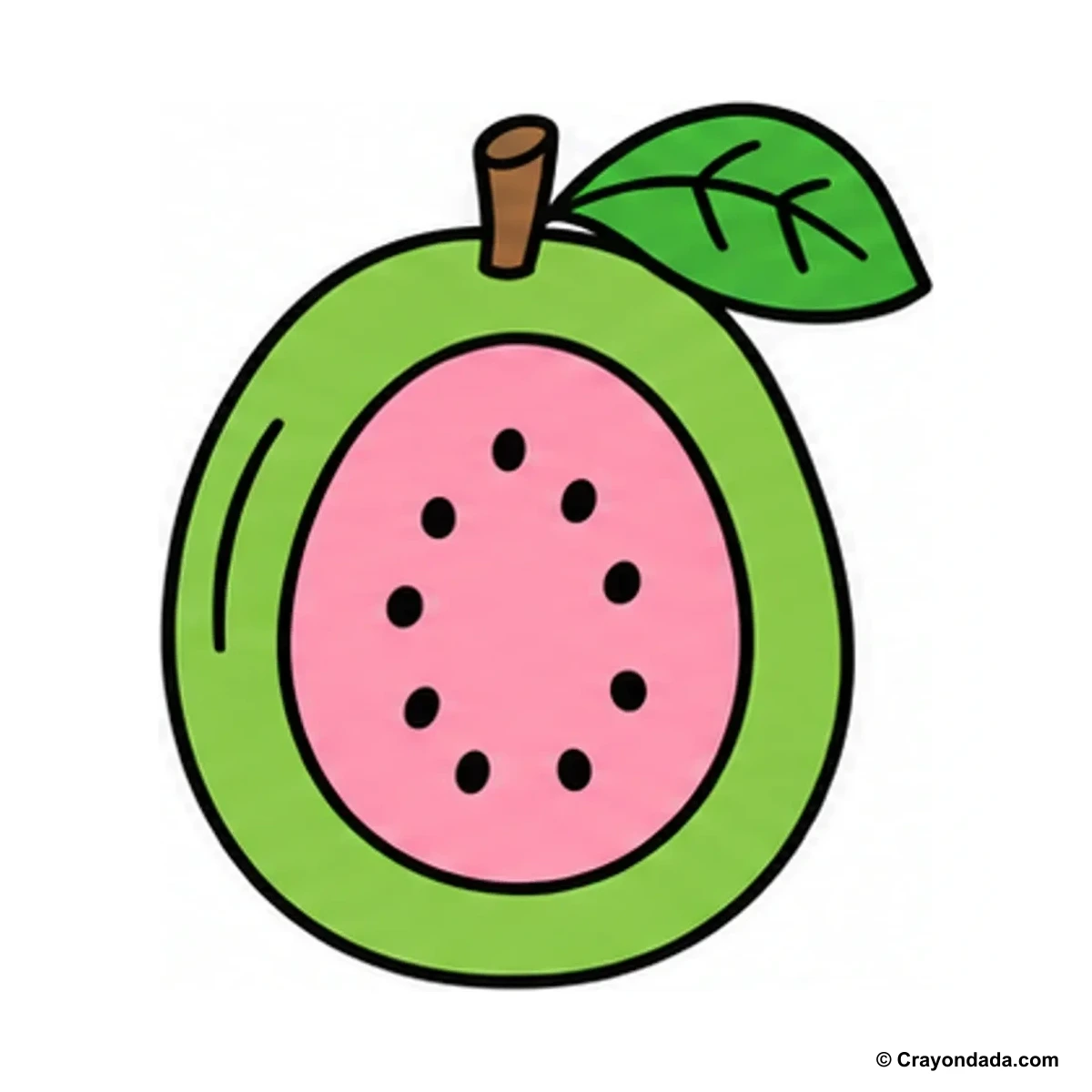 How to Draw a Guava finished drawing