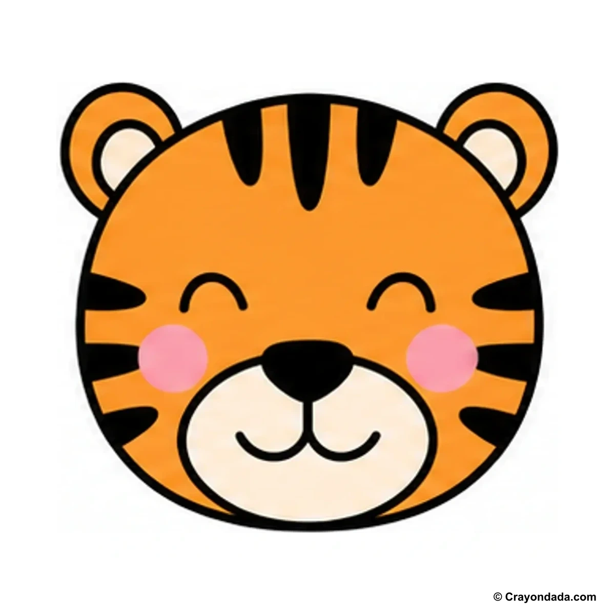 How to Draw a Happy Tiger Face finished drawing