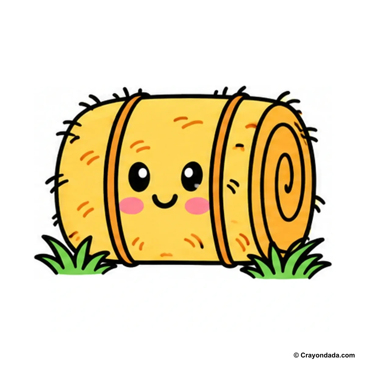 How to Draw a Hay Bale finished drawing