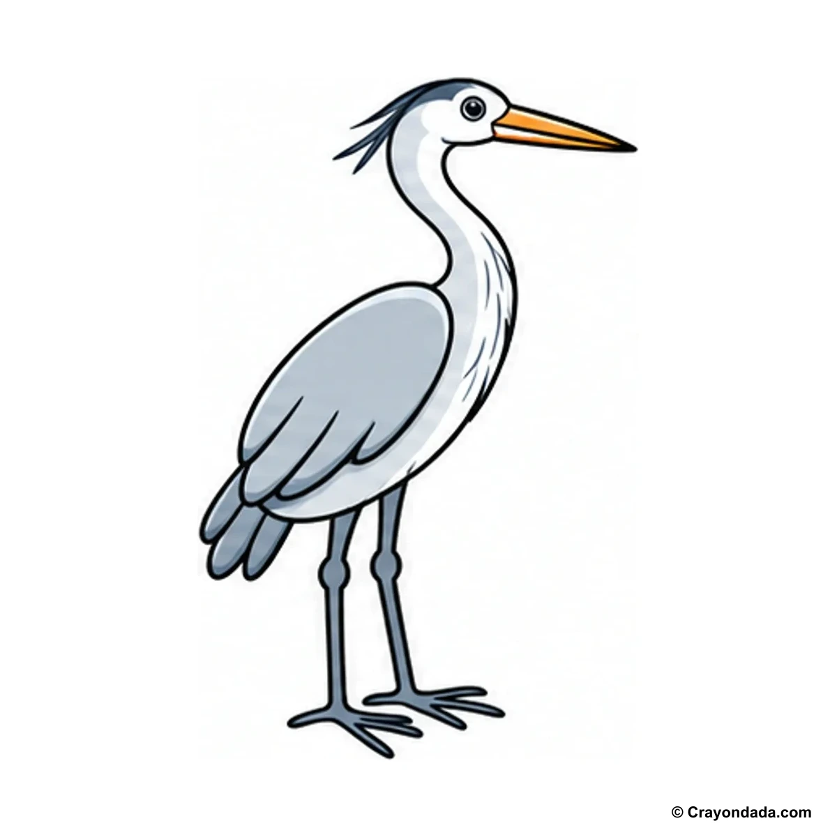 How to Draw a Heron finished drawing