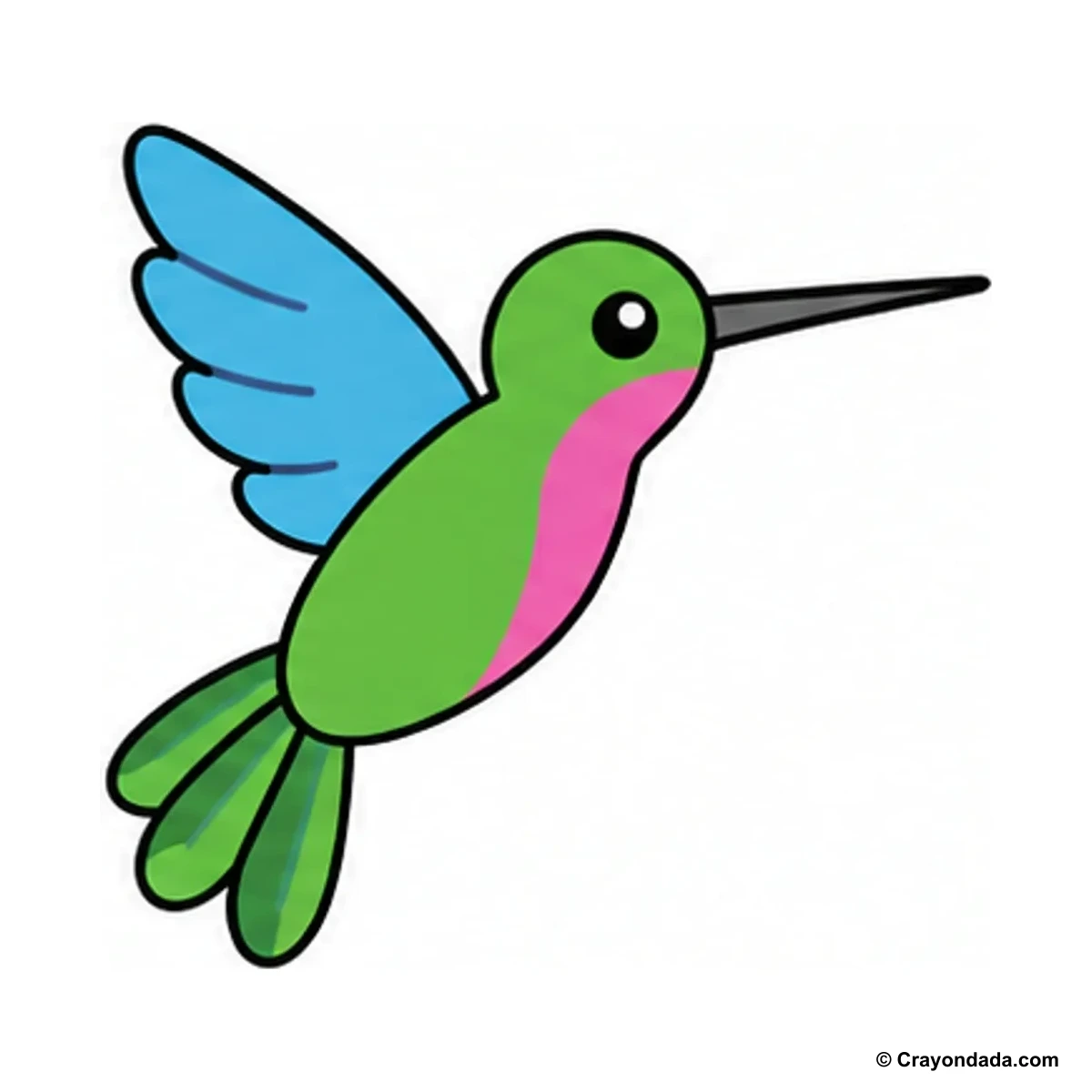 How to Draw a Hummingbird finished drawing