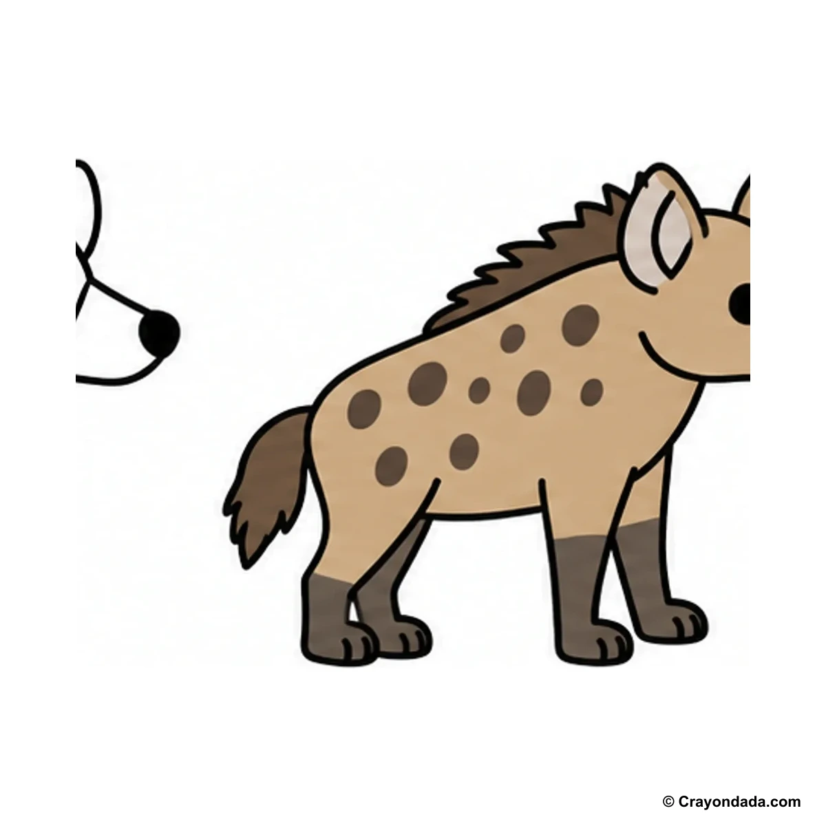 How to Draw a Hyena finished drawing