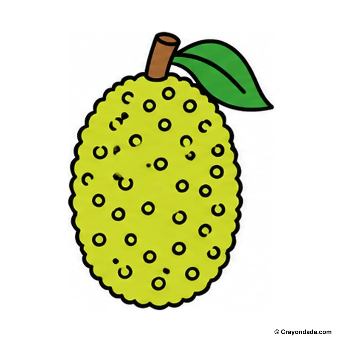 How to Draw a Jackfruit finished drawing