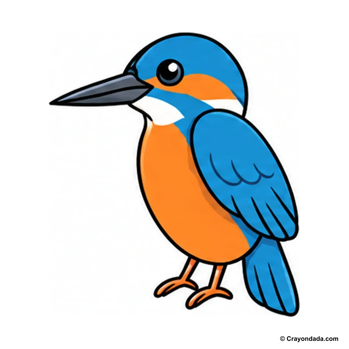 How to Draw a Kingfisher finished drawing