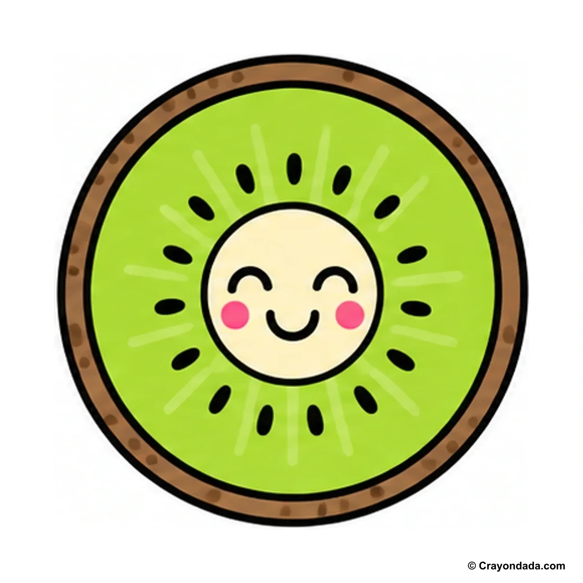 How to Draw a Kiwi Fruit finished drawing