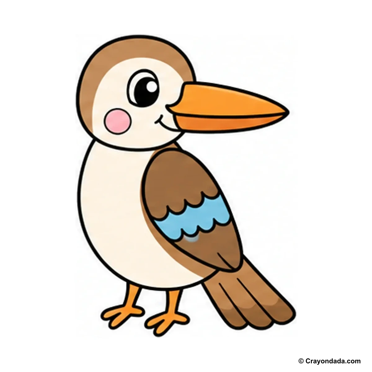 How to Draw a Kookaburra finished drawing